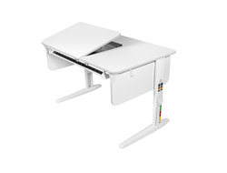 Растущая парта Dami L/70-45 с лотком СУТ.62 купить в Воронеже