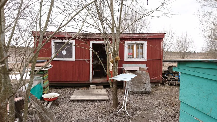 Вот наша лесная избушка
