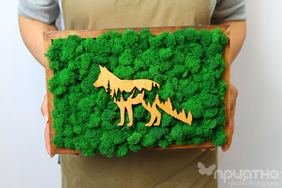 ЖИВАЯ ЭКО-КАРТИНА 1027