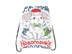 Сумка-мешок для обуви год Кролика №29