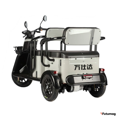 Электротрицикл Wanshida LC300 60V 1000Вт серый