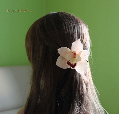 Орхидея Цимбидиум .