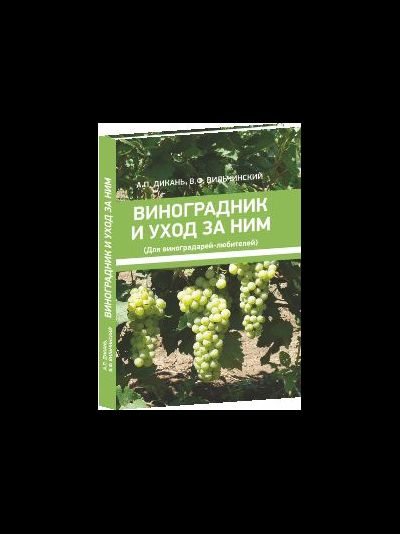 Виноградник и уход за ним