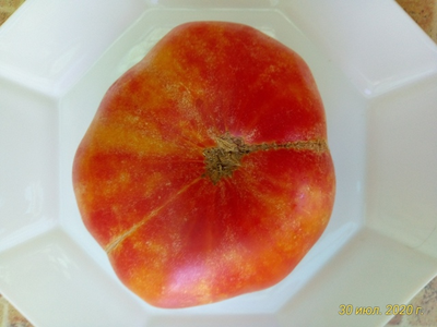 Томат Медово-розовый