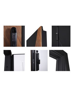 Стальная дверь   Plata (биометрический замок  Smart lock DZ 888)