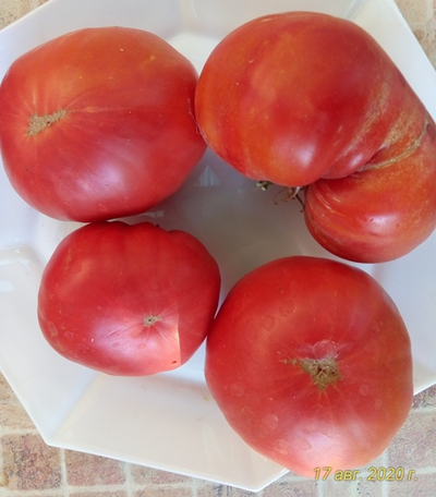 Томат Хелен немецкий (Helen's German)