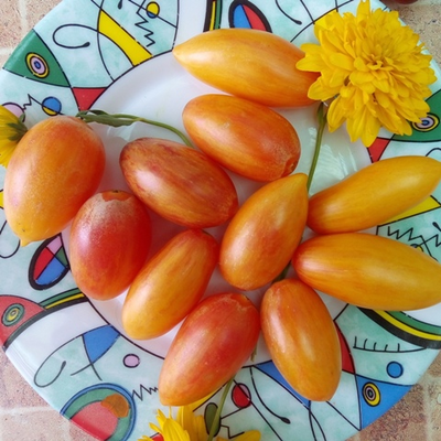 Томат Розовый тигр (Artisan pink tigr)