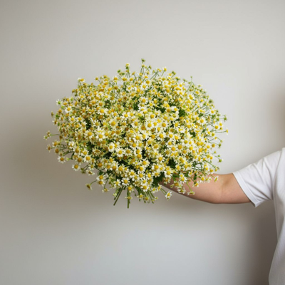 Моно букет цветов № 574