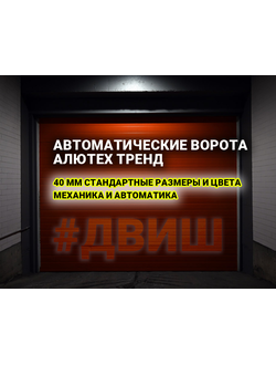 секционные вороты, подъемные ворота, гаражные ворота, для гаража челны, блок управления, привод