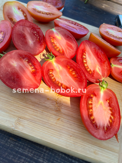 Томат Dwarf Sneaky Sauce (Гном для соуса), 10 шт