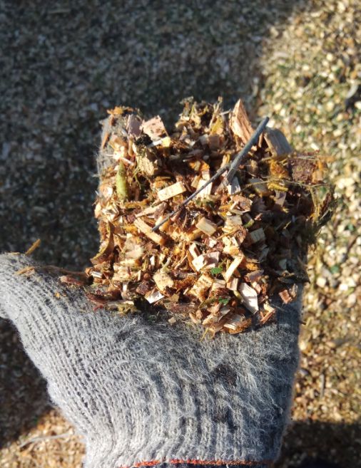 Аренда измельчителя веток в Луге