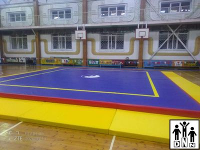 Помост для ушу саньда, 40 см (ППЭ 1*2*0,02 М) DNN