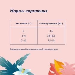 Florida (Флорида) влажный корм (пауч) для кастрированных и склонных к ожирению кошек и котов, индейка в соусе 85 г