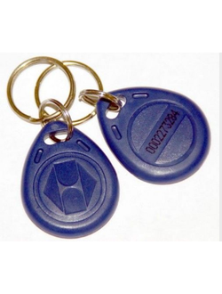 Брелок (вместо карт доступа) СШ-5