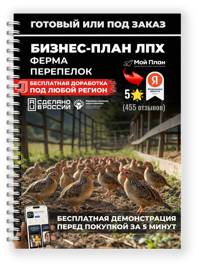 Бизнес-план для ЛПХ: Разведение перепелов
