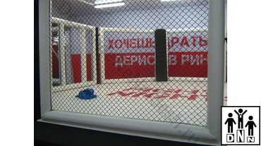 октагон омск