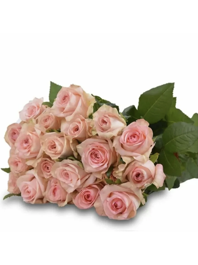 Букет роз Кимберли