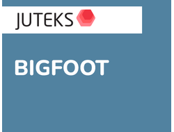 Bigfoot гетерогенный спортивный линолеум Juteks Profi