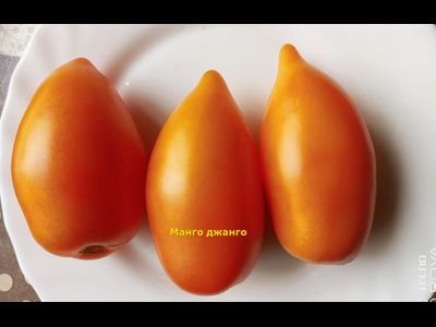 Томат Манго Джанго