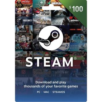 Steam 100$