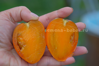 Томат Severe Melon (Суровая Дыня немцев Поволжья), 10 шт