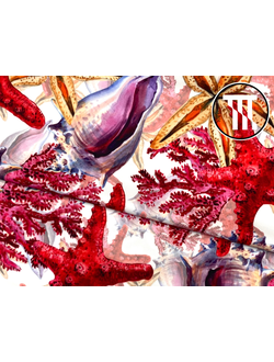 Бифлекс матовый принт Морские звезды