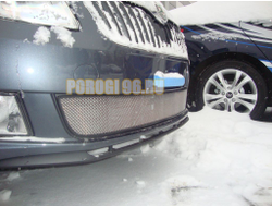 Защита радиатора Skoda Fabia 2 рестайлинг 2011-/Skoda Roomster 2011-2015 chrome
