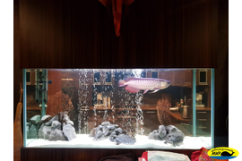 Аквариум с рыбами пресноводными