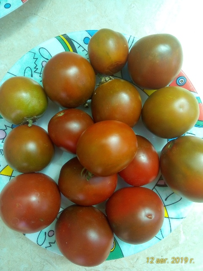 Томат Словенский черный  (Slovenian Black) США