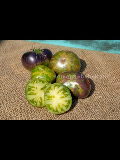 Томат Dwarf Rebella (Гном Ребелла), 10 шт