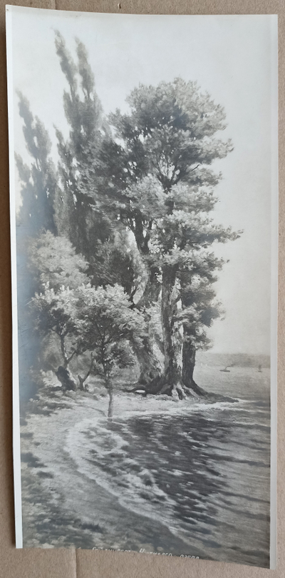 фото Выпуск горных инженеров гидрогеологов 1944-1950 гг