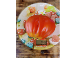 Томат Сердце Альбенги (Albenga), Италия