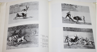 Седова Т.А. Франсиско Гойя. Альбом. М.: Изобразительное искусство. 1973г.