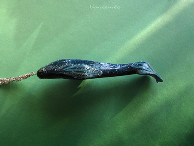 Фэнтезийная подвеска "Blower-Кит, Древний Гигант"