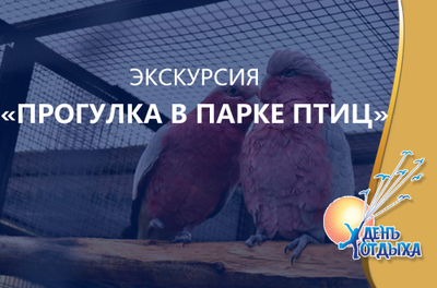 Экскурсия "Прогулка в парке птиц"