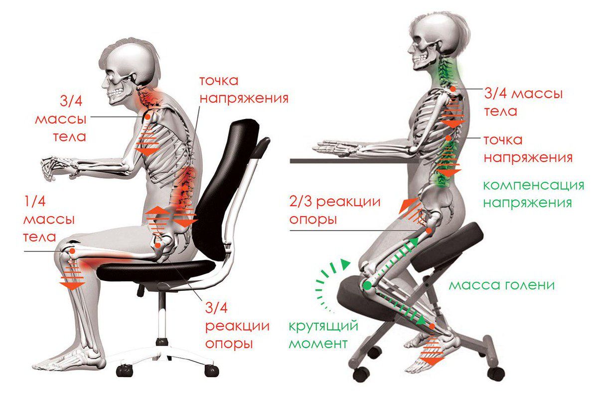 зачем нужен коленный стул Олимп