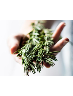 ROSEMARY EO ORGANIC (100% ЭФИРНОЕ МАСЛО РОЗМАРИН) ТУНИС