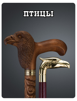 Трости с рукоятью в виде птицы