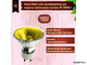 Muller Licht JDR-C-GU/550Y 50w 230v 50° GU10 Yellow