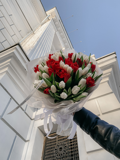 Красные тюльпаны "Поцелуй весны" 35