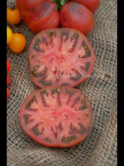 Томат Dwarf Tasty Wine (Гном Вкусное Вино), 10 шт