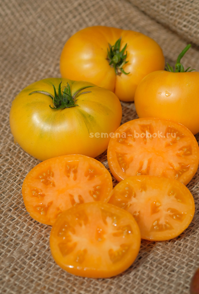 Томат Dwarf Tanager (Гном Танагер), 10 шт