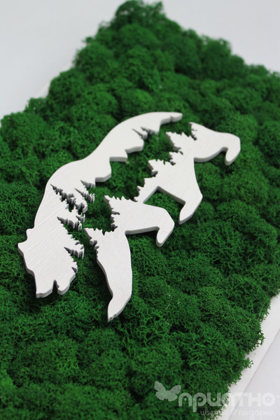 ЖИВАЯ ЭКО-КАРТИНА 1039