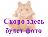 Пайетки #I.11 Andrea Bilics (Андреа Биликс) 2 гр