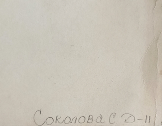 "Мальвы" бумага акварель Соколова (Зеленская) Г.А. 1980-е годы