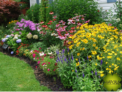 ЦВЕТНИК ДЛЯ СОЛНЕЧНОГО МЕСТА ДОЛГОЦВЕТУЩИЙ (разработка схемы посадки 1х1м)