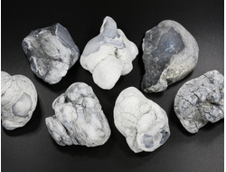 Кахолонг (Опал), желвак цельный в ассортименте, Оренбургская обл. (48-55 мм, 49-55 г) №29435