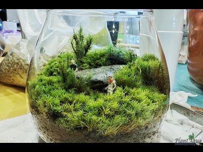 Чаша Пузырь Biolark  FOUR (120мм х 105мм)