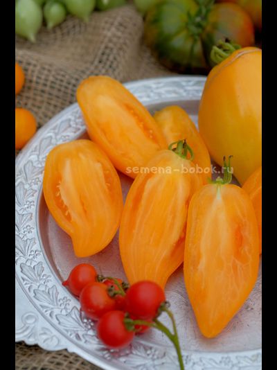 Томат Orange Walk (Оранжевая Прогулка), 10 шт