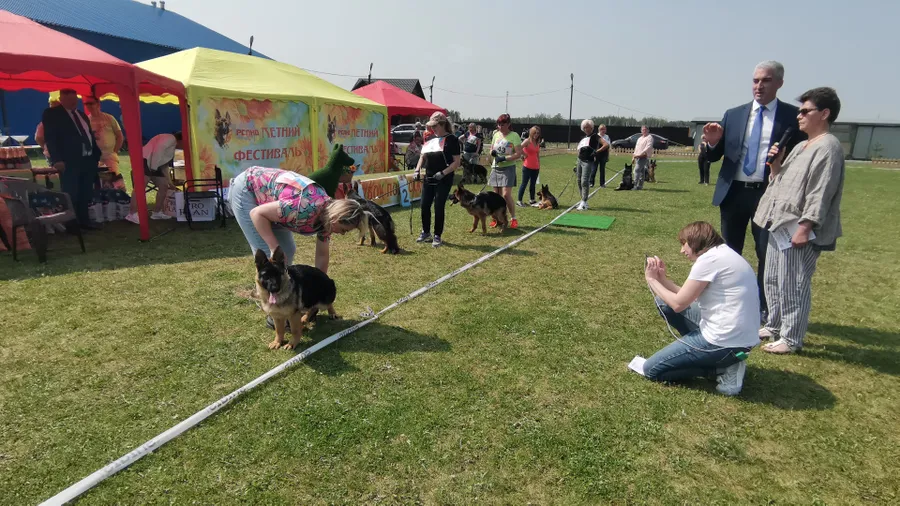 монопородная выставка г. Бронницы 28.05.2023 3 место класс беби эксперт Ilija Radulovic (Сербия)